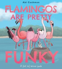 Flamingos Are Pretty Funky: A (Not So) Serious Guide цена и информация | Книги для подростков и молодежи | kaup24.ee