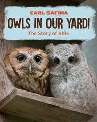 Owls in Our Yard!: The Story of Alfie hind ja info | Noortekirjandus | kaup24.ee