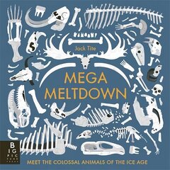 Mega Meltdown hind ja info | Noortekirjandus | kaup24.ee