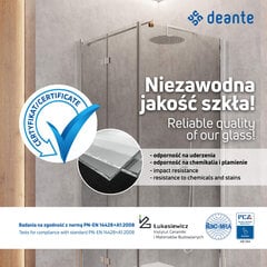 Walk-in dušisein Deante Prizma, Bianco, 90x195 cm цена и информация | Душевые двери и стены | kaup24.ee