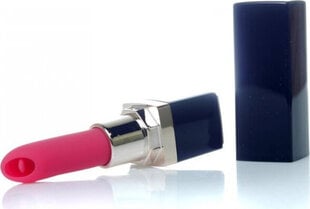 Boss Of Toys Stymulator-Lipstick Vibrator USB 10 functions цена и информация | БДСМ и фетиш | kaup24.ee