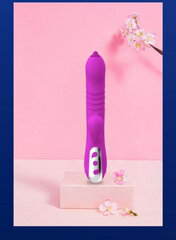 Boss Of Toys Wibrator-Fairy USB 3 functions of thrusting / 20 vibrations -Purple цена и информация | БДСМ и фетиш | kaup24.ee