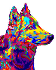 Maalimine numbrite järgi. H138 Wolf Pop Art 40*50 цена и информация | Живопись по номерам | kaup24.ee