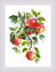 Ristpistekomplekt Juicy Apples RIOL1938 hind ja info | Tikkimistarvikud | kaup24.ee