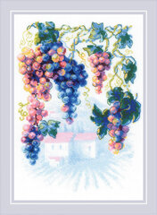 Ristpistekomplekt Generous Grapevine 21x30 RIOL2135 hind ja info | Tikkimistarvikud | kaup24.ee