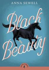 Black Beauty hind ja info | Noortekirjandus | kaup24.ee