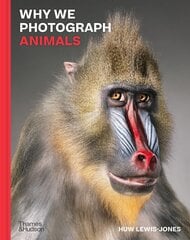 Why We Photograph Animals hind ja info | Kunstiraamatud | kaup24.ee