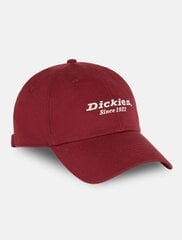 Кепка Dickies унисекс, DK0A4YNN-G041, темно-красный цена и информация | Мужские шарфы, шапки, перчатки | kaup24.ee