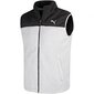 Puma Polüestrist vest Lamb vääriti 894348 01. цена и информация | Meeste vestid | kaup24.ee