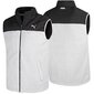 Puma vest Lamb 894348 01 hind ja info | Meeste vestid | kaup24.ee