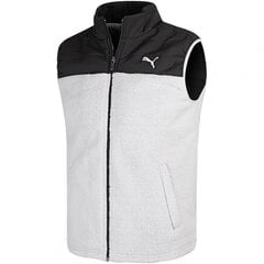 Puma Polüestrist vest Lamb vääriti 894348 01. hind ja info | Meeste vestid | kaup24.ee