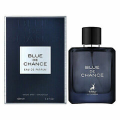 Maison Alhambra MaÃ®tre de Blue Eau De Parfum 100 ml (man) цена и информация | Мужские духи | kaup24.ee