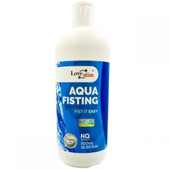 Lovestim AQUA FISTING PROFESJONALNY WODNY ŻEL FO FISTINGU 500ml цена и информация | Лубриканты | kaup24.ee