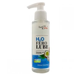 Lubrikant Lovestim H2O Fero, 100 ml hind ja info | Lubrikandid | kaup24.ee