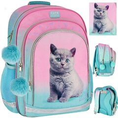 Kooli seljakott Starpak Ombre Kitty 531586 цена и информация | Школьные рюкзаки, спортивные сумки | kaup24.ee