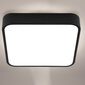 LED Plafond laevalgusti LUNA 30W Square 30x5 cm LUMILED цена и информация | Laelambid | kaup24.ee