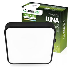 LED Plafond laevalgusti LUNA 30W Square 30x5 cm LUMILED цена и информация | Потолочные светильники | kaup24.ee