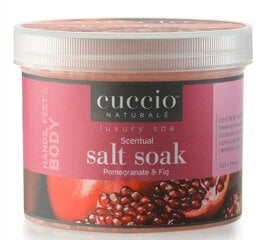 Käte ja jalgade leotusvahend meresoolaga, Cuccio Scentual Salt Soak Pomegranate & Fig hind ja info | Dušigeelid, õlid | kaup24.ee