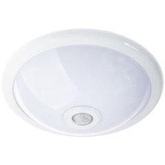 LED Plafond laevalgusti REGIS 2x E27 IP44 liikumis- ja hämarussensoriga valge ümmargune 30cm LUMILED цена и информация | Уличное освещение | kaup24.ee