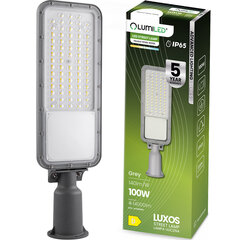 LED tänavalamp LUXOS Tööstuslik tänavavalgusti 100W 14000lm 4000K IP65 Advanced Lighting Series LUMILED цена и информация | Уличное освещение | kaup24.ee