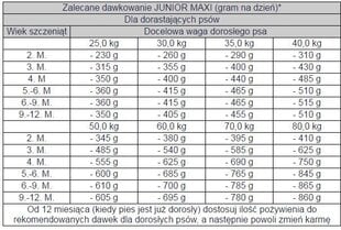 Bosch Tiernahrung Junior Maxi koos linnulihaga, 15 kg hind ja info | Kuivtoit koertele | kaup24.ee