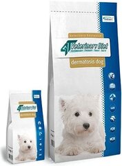 VetExpert 4T Veterinary Diet Dog Dermatosis с лососем, 12kg цена и информация | Сухой корм для собак | kaup24.ee