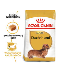 Royal Canin Dachshund для взрослых собак, 2х7,5 кг цена и информация | Сухой корм для собак | kaup24.ee