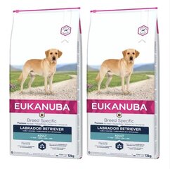 Eukanuba Adult Breeds Specific Labrador Retriever с курицей, 24 кг цена и информация | Сухой корм для собак | kaup24.ee