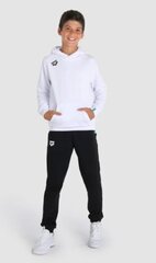 Laste unisex kapuuts Arena Team Hooded Sweat Panel, valge hind ja info | Poiste kampsunid, vestid ja jakid | kaup24.ee