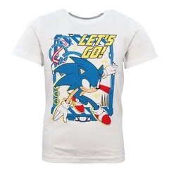 Laste T-särk Sonic the Hedgehog, valge hind ja info | Poiste särgid | kaup24.ee