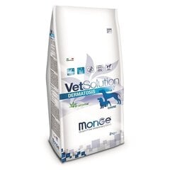 Monge Vet Solution Dog Dermatosis с лососем, 12 кг цена и информация | Сухой корм для собак | kaup24.ee