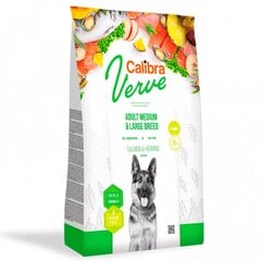 Calibra Dog Verve GF Adult Medium&Large Лосось и Сельдь, 12 кг цена и информация | Сухой корм для собак | kaup24.ee