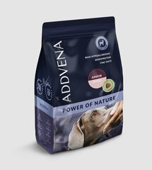 Addena Power of Nature Junior Small koos lambaga, 10 kg hind ja info | Kuivtoit koertele | kaup24.ee