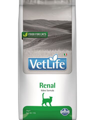 Farmina Vet Life Cat Renal 5, kg hind ja info | Kuivtoit kassidele | kaup24.ee