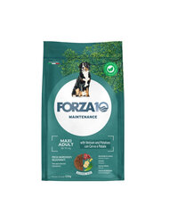 Forza10 Maxi Adult Maintenance Venison Potato suurt tõugu koertele, 12 kg цена и информация | Сухой корм для собак | kaup24.ee