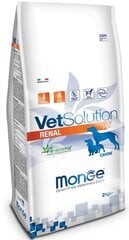 Monge Vet Solution Dog Renal, 12 кг цена и информация | Сухой корм для собак | kaup24.ee