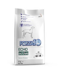 Forza10 Oto/Echo Active Dieta kõrvaprobleemidele, 4 kg цена и информация | Сухой корм для собак | kaup24.ee