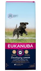 Eukanuba Developing Junior Large Breed koos linnulihaga, 12 kg hind ja info | Kuivtoit koertele | kaup24.ee