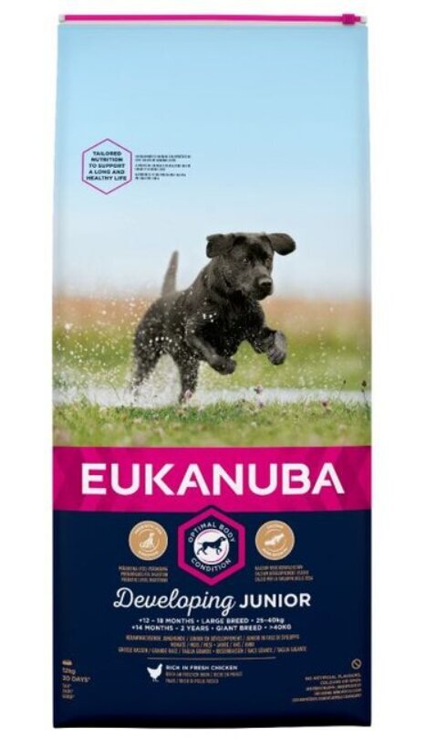 Eukanuba Developing Junior Large Breed koos linnulihaga, 12 kg цена и информация | Kuivtoit koertele | kaup24.ee