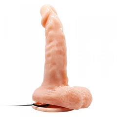 Vibraator Boss Of Toys Baile Realistic Male Cock And Tight Ass, 1 tk hind ja info | Vibraatorid | kaup24.ee