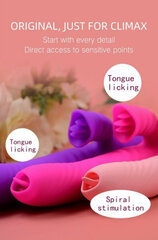 Boss Of Toys Wibrator-Angelia USB 3 functions of thrusting / 20 vibrations Purple цена и информация | БДСМ и фетиш | kaup24.ee