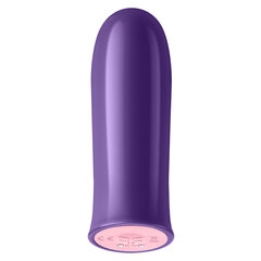 Vibraator FemmeFunn Versa Bullet, lilla hind ja info | Vibraatorid | kaup24.ee