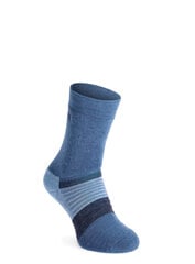 Jogging Socks Inov-8 Active Merino+ - navy melange 84485-155 цена и информация | Женские носки | kaup24.ee