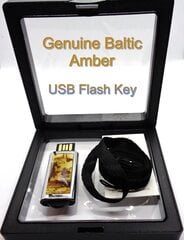 USB-накопитель емкостью 16 ГБ с янтарным покрытием цена и информация | Другие оригинальные подарки | kaup24.ee