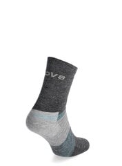 Jogging Socks Inov-8 Active Merino+ - grey melange 84484-155 цена и информация | Женские носки | kaup24.ee