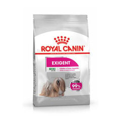 Royal Canin CCN Mini Exigent, 3 kg hind ja info | Kuivtoit koertele | kaup24.ee