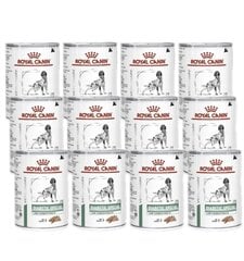 Royal Canin Diabetic Special täiskasvanud diabeetikutele koertele, 12x410 g hind ja info | Konservid koertele | kaup24.ee