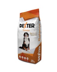 Rex Dexter Balance, 20 kg hind ja info | Kuivtoit koertele | kaup24.ee