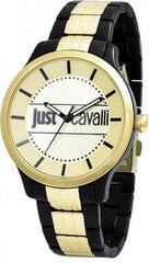 Женские часы Just Cavalli R7253127528 цена и информация | Женские часы | kaup24.ee