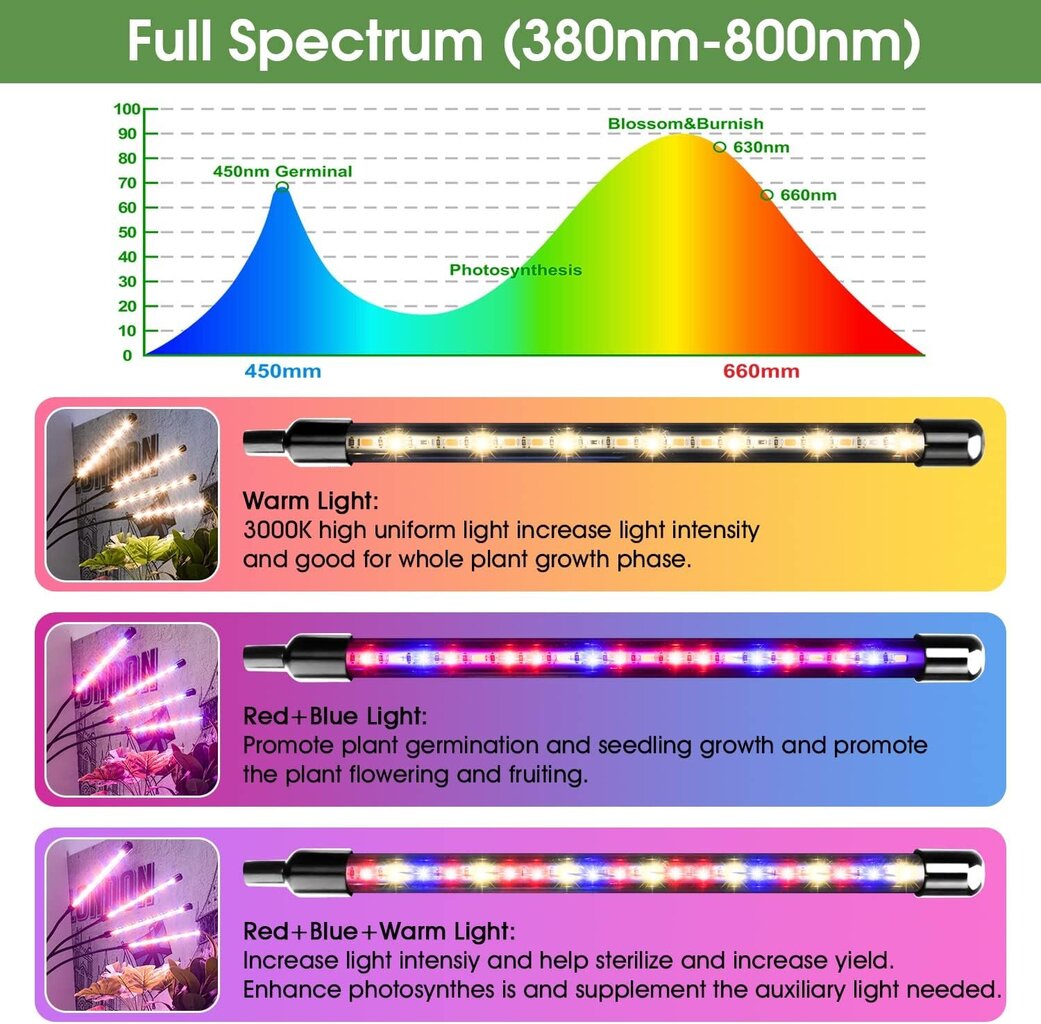 LED taimelamp Wolezek BL-J20B цена и информация | Nutipotid ja taimelambid | kaup24.ee